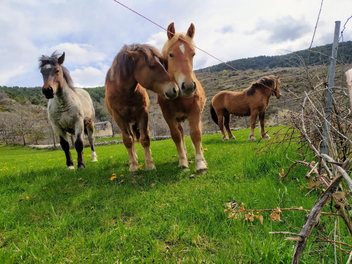 Hostal Pas De La Pera Aransa Bagian luar foto